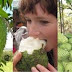 ALL PHARMACEUTICAL COMPANIES HAVE HID FAR FROM US THE FRUIT, THAT TREATS CANCER. HOWEVER, AT THE END – EVERYONE SHOULD KNOW ABOUT IT!