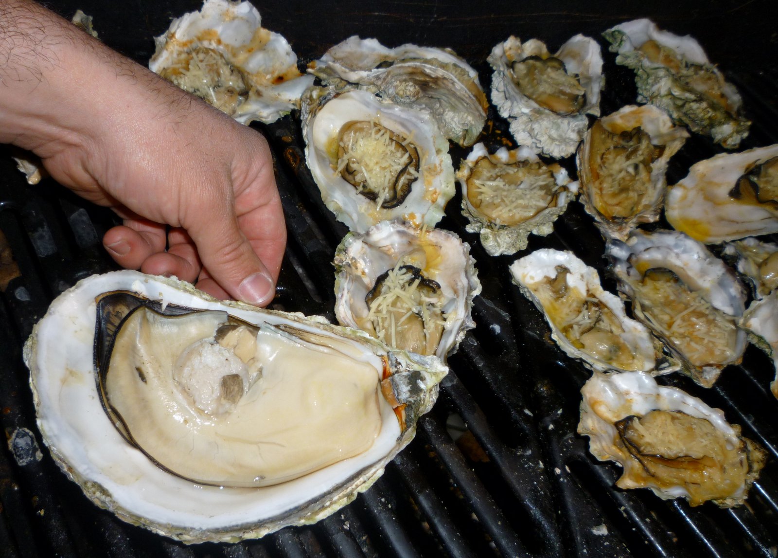 Seattle Pictures Videos Blog Huge Oysters on the BBQ Gallery