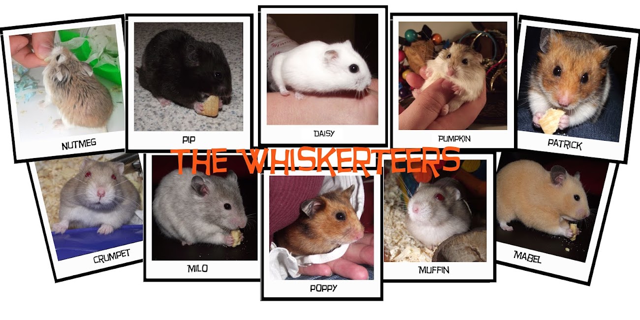 The Whiskerteers