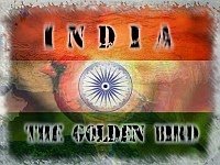 india-golden-bird