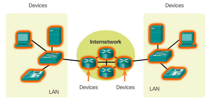 Сеть компонентов ПК. Медиа устройства это. Компоненты сетевой среды. Internetwork. Review network