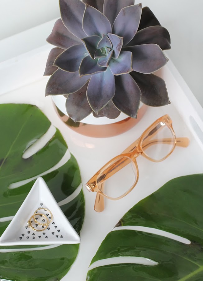 Bandeja diy con monstera