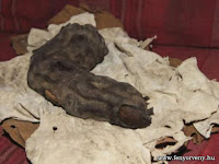 38 centis ujjat találtak Egyiptomban: Bizonyíték a nephilimek létezésére? 38 centis ujjat találtak Egyiptomban: Bizonyíték a nephilimek létezésére?