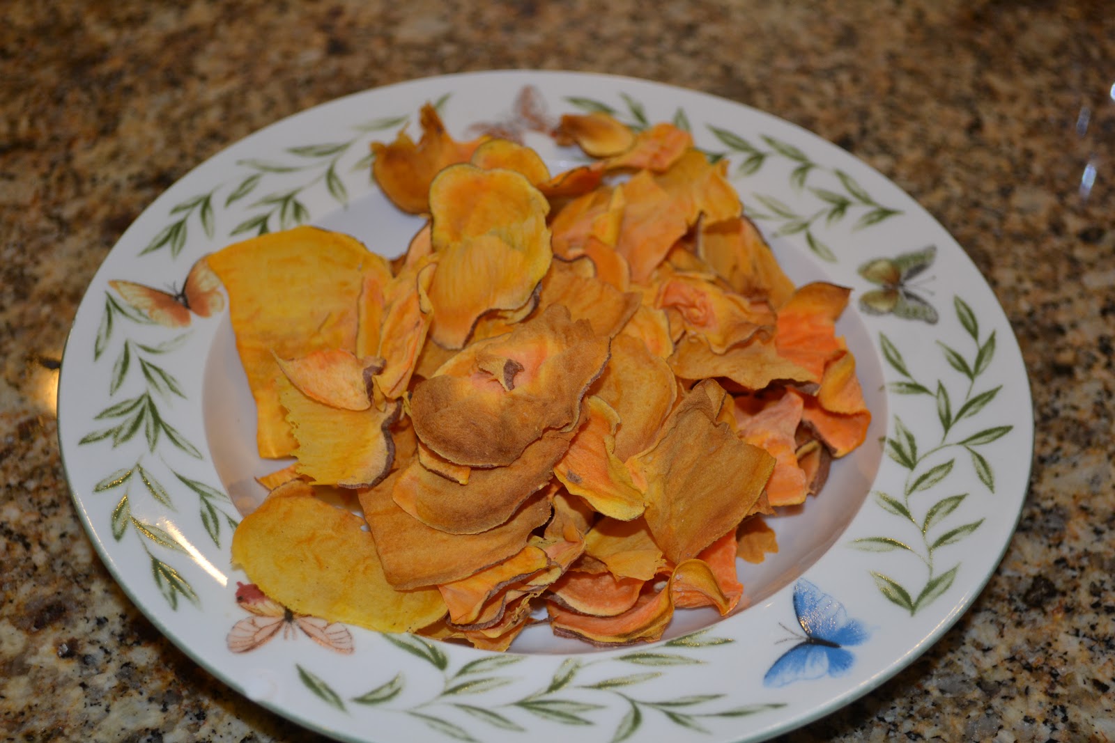 Point of Sail Sweet Potato Chips