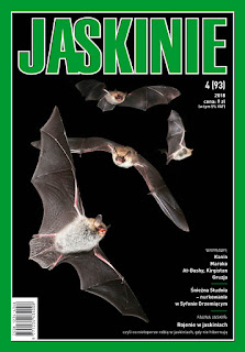 Grafika