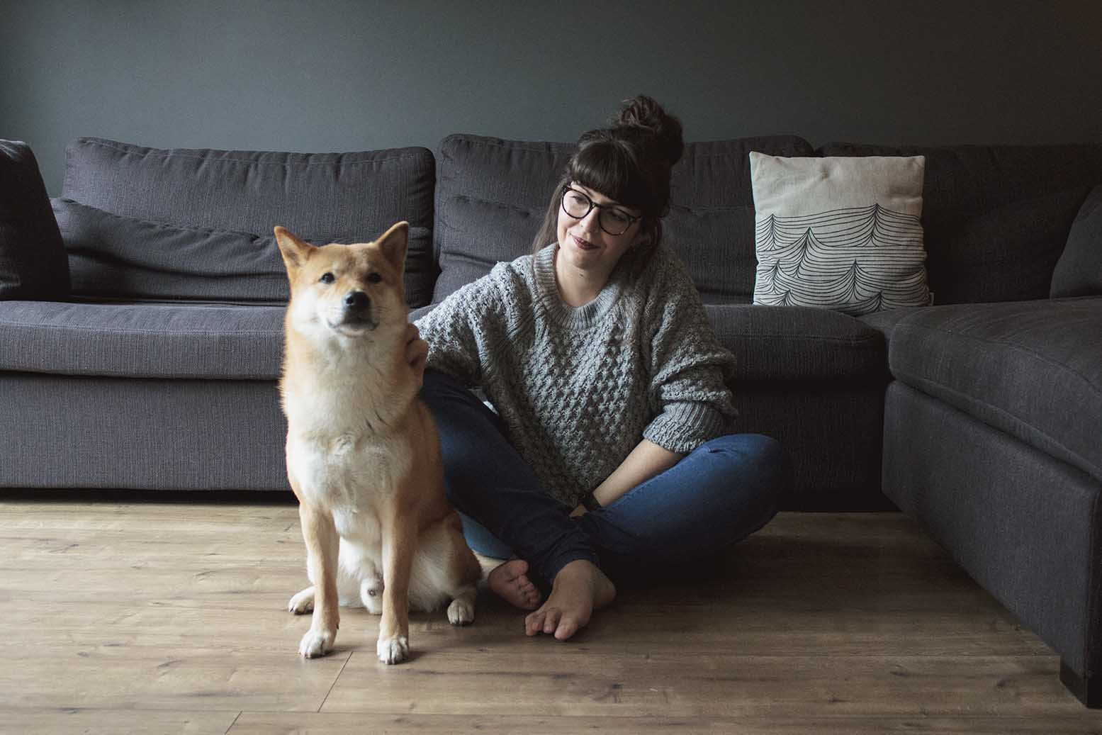 shiba inu wit konijn shiba inu wit konijn
