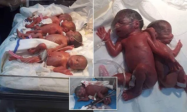 Seven from heaven: 25-year-old lady gives birth to septuplets naturally, Baghdad, news, World, Health, Iraq, hospital, Babies, Lady, Birth