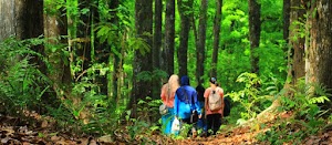 Yuk! Datang ke 3 Objek Wisata Hutan Terpopuler Di Lombok Yuk! Datang ke 3 Objek Wisata Hutan Terpopuler Di Lombok
