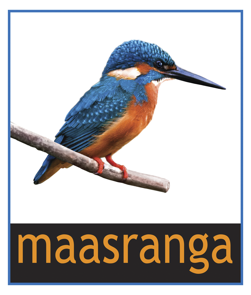Logo of Maasranga