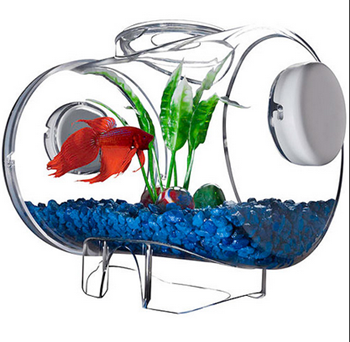 Model Akuarium Modern Untuk Ikan Cupang Hias Dunia Akuarium