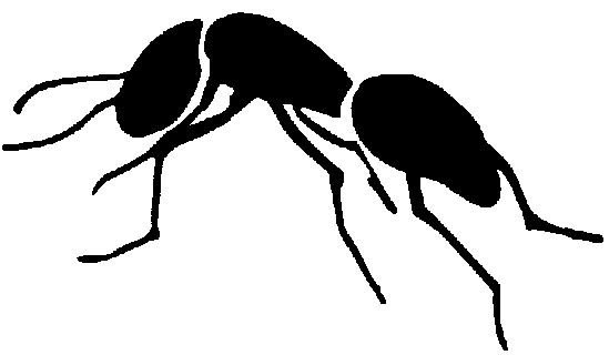 queen ant clipart - photo #35