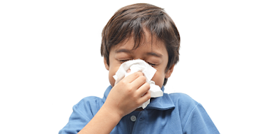 Pengobatan Influenza Pengobatan Influenza