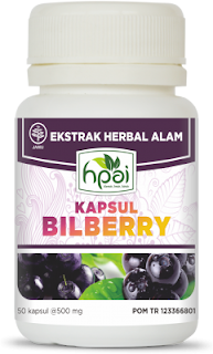 Kapsul Bilberry Bilberry