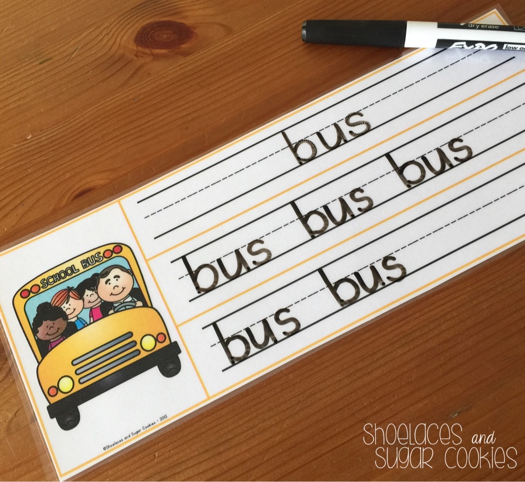 Shoelaces and Sugar Cookies