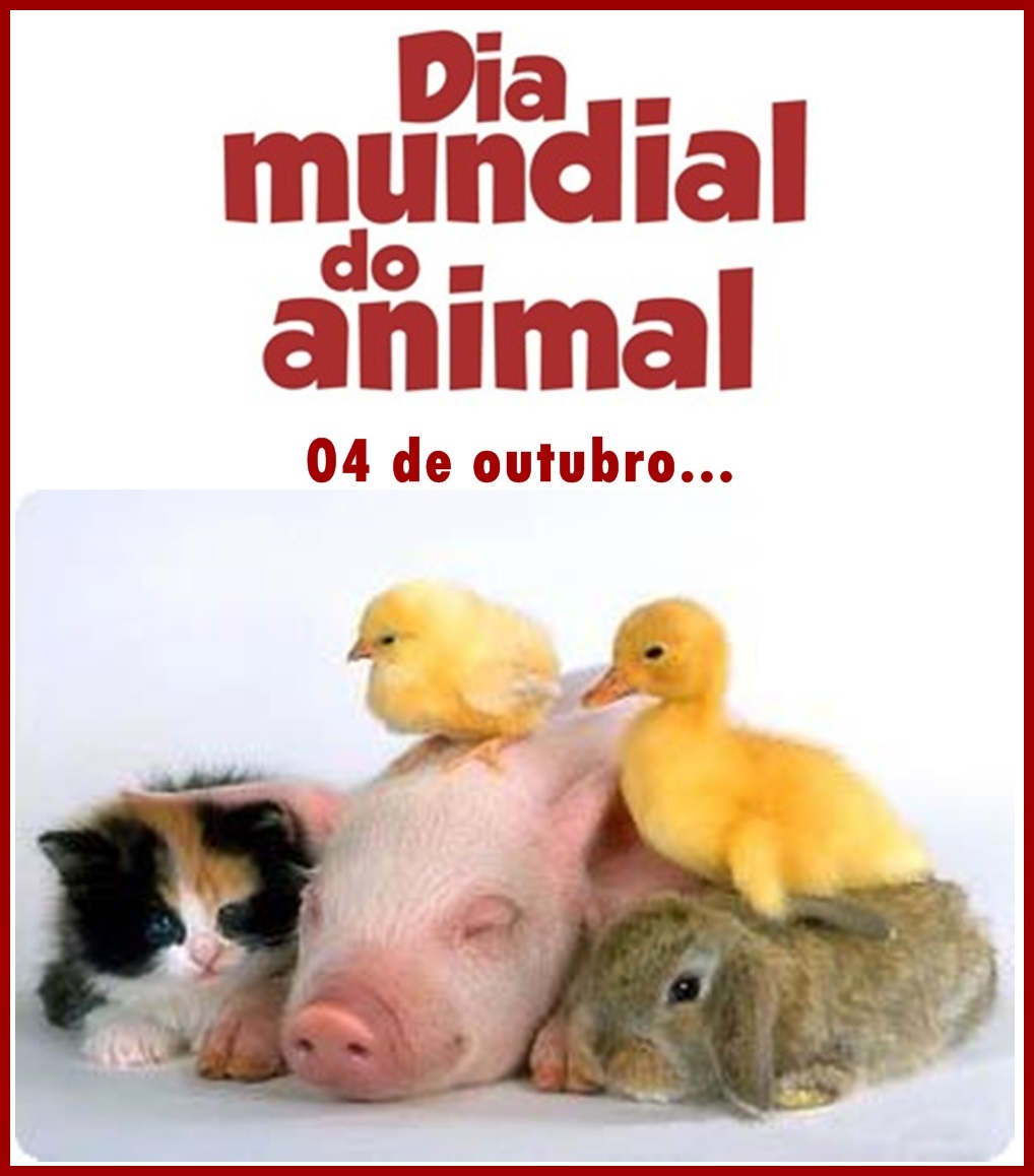 Bibi Leitura 04 de Outubro dia Mundial dos Animais Recados Bibi Leitura 04 de Outubro dia Mundial dos Animais Recados