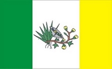 BANDEIRA DO MUNICÍPIO DE PICUÍ