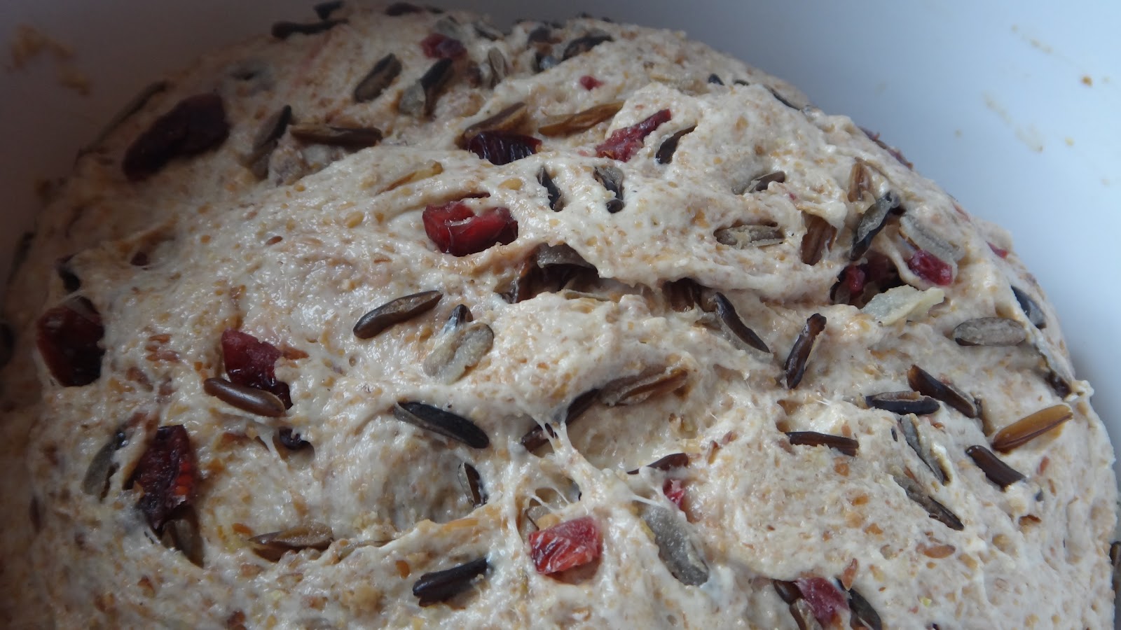Cranberry Wild Rice Wheat Bread