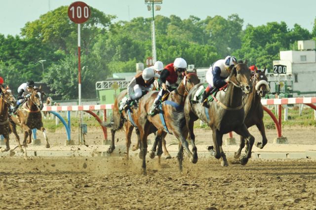 Hipódromo de La Plata Hipódromo de La Plata