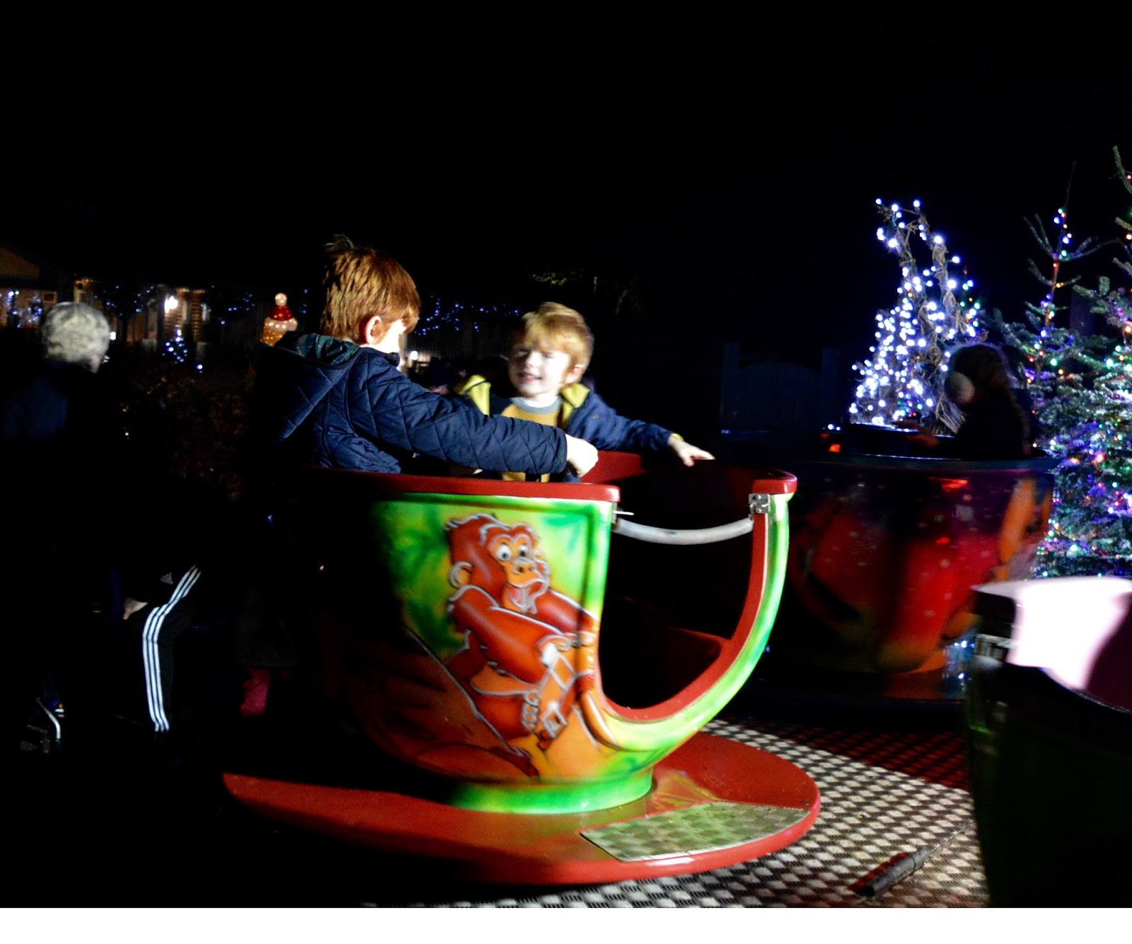 Winter Wonderland Christmas Light Show A Wynyard Hall Garden Event