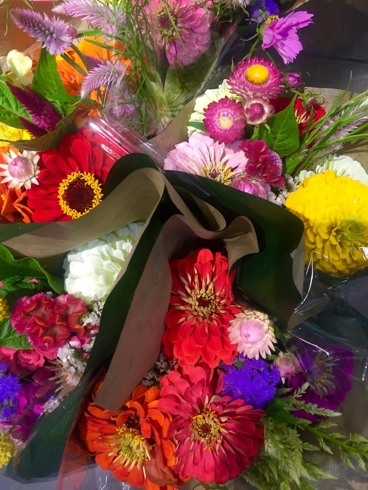 Buffalo Daily Photo Flowers and a Poem