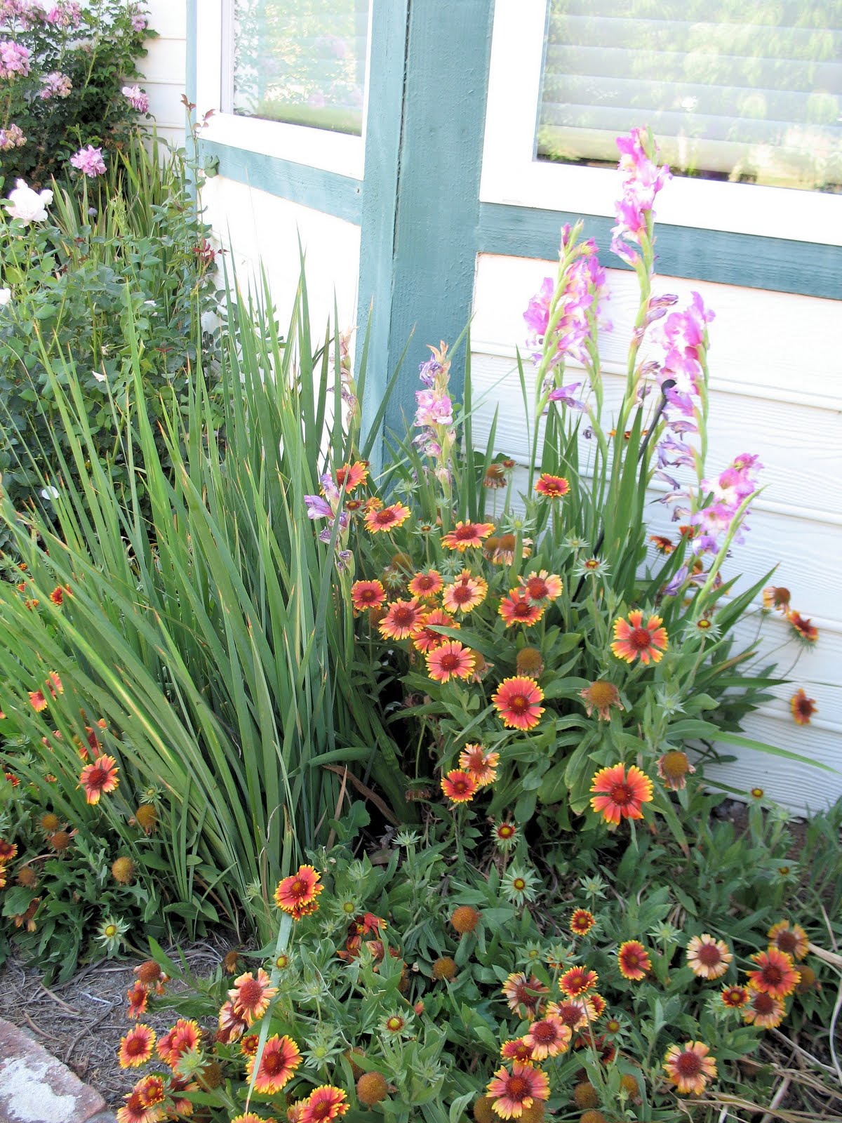 News from Oak Creek Ranch Flower Bed in July and other Chores
