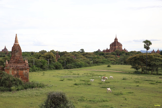 15-08-16. Segundo día en Bagan. - Objetivo Birmania (5)