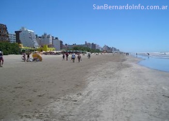 pronostico san bernardo