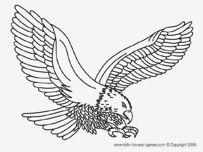 eagle coloring book pages - photo #29