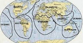 Persebaran Keanekaragaman Hayati Indonesia Materi Sma Online