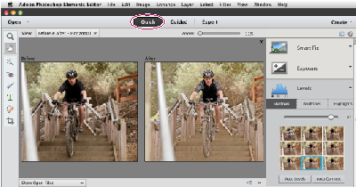 photoshop elements 10 free download full version