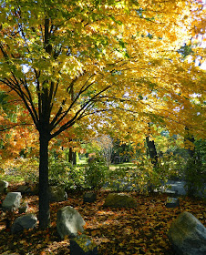 Mount Pleasant Cemetery Forest of Remembrance fall foliage by garden muses-not another Toronto gardening blog
