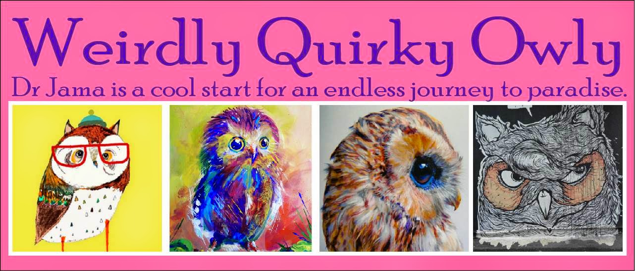 Weirdly Quirky Owly