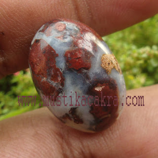 Mustika Srigala Hitam Ganas Sakti Mustika Srigala Hitam Ganas Sakti