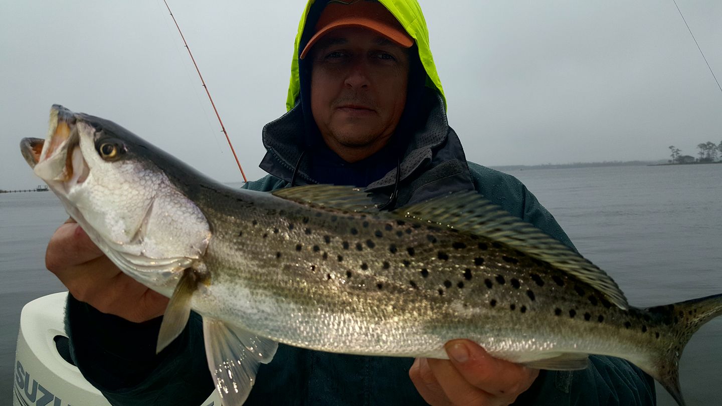 Jim Baugh Outdoors TV Speckled Trout fishing on the Pamlico River Jim