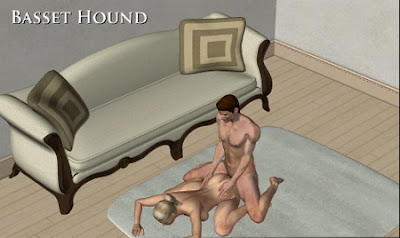 basset-hound.jpg