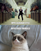 Posted by Grumpy Cat at 4:31 AM · Email ThisBlogThis! oppa gangnam tyle