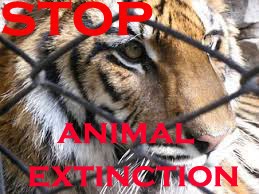 Stop Animal Extinction!