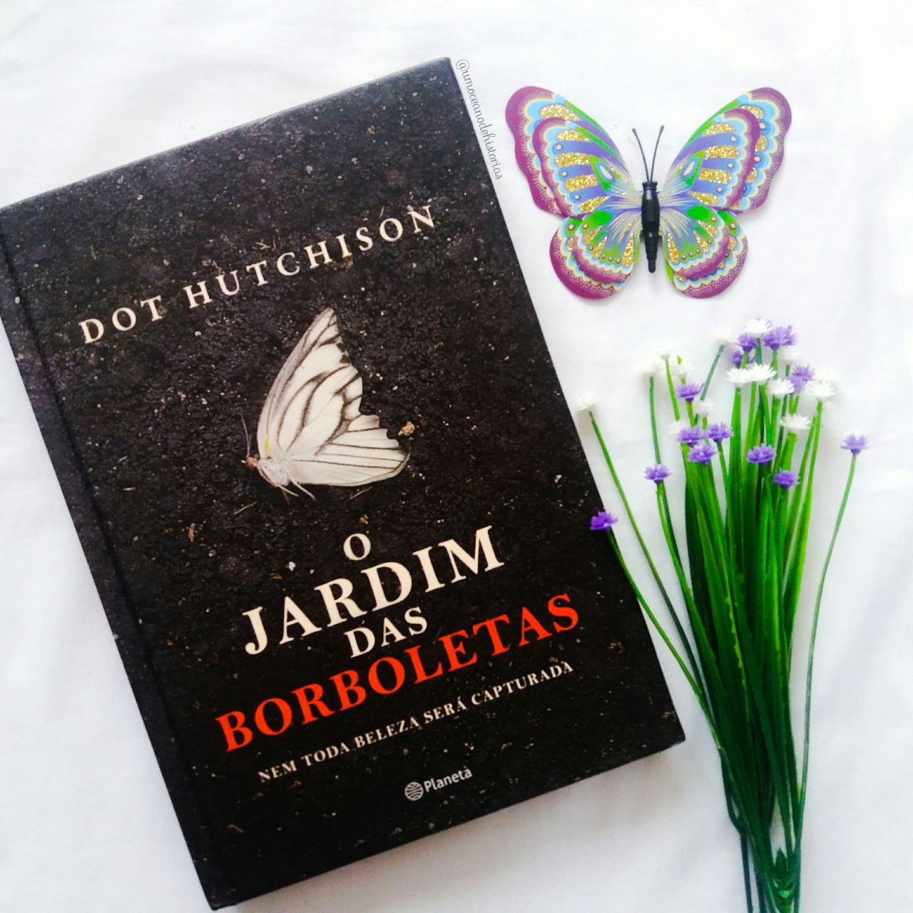 [Resenha] O Jardim das Borboletas, Dot