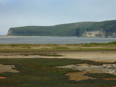 The mouth of Drakes Estero