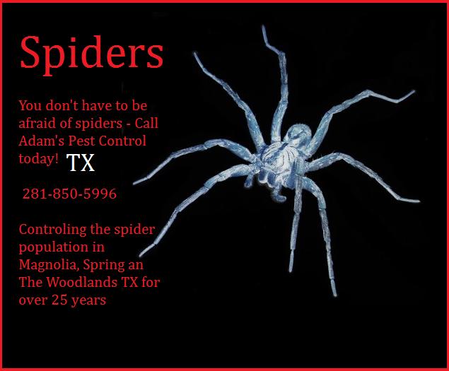 Pest Control Companies TX