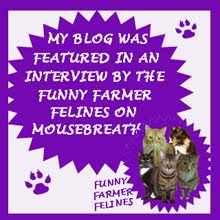 INTERVIEWED ON MOUSEBREATH