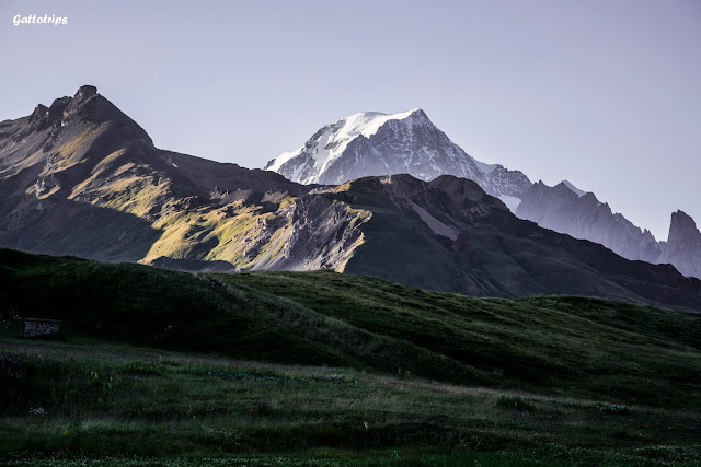 Valle de Aosta - Gatti Valdostani - Blogs de Italia - Lagos y Alpes hasta llegar al Valle (6)