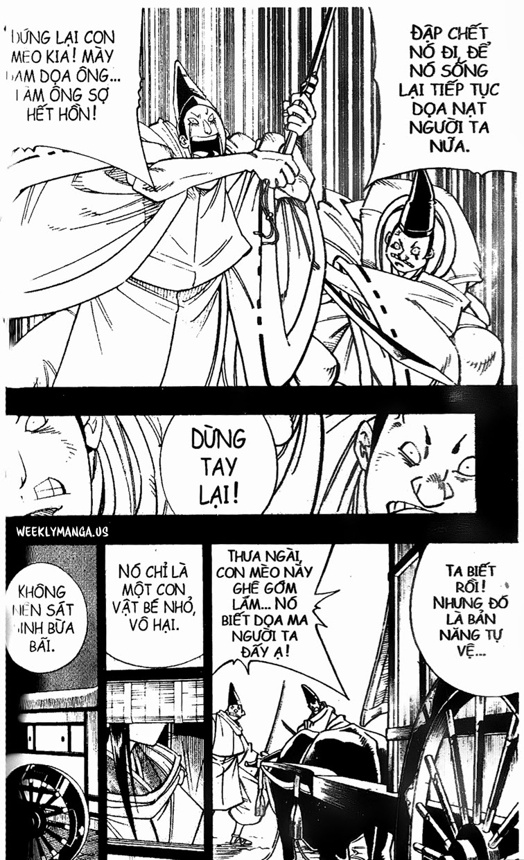 Shaman King [Vua pháp thuật] chap 169 trang 10