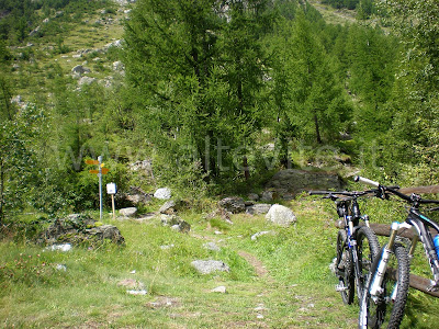 bike Svizzera