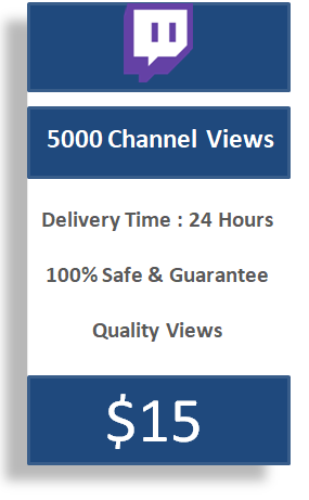 5000 twitch channel views