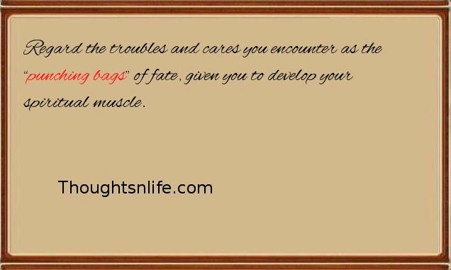 Thoughtsnlife: Regard the troubles and cares you encounter as the “punching bags” 