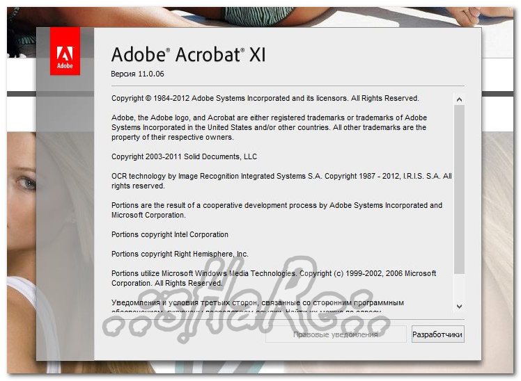 adobe acrobat 7.0 professional crack file