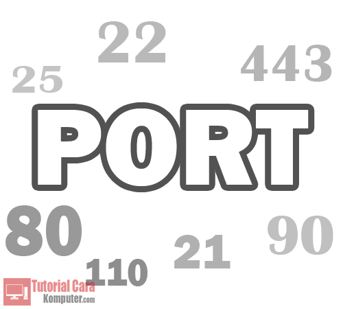 Pengertian, Jenis dan Fungsi Port Jaringan Komputer