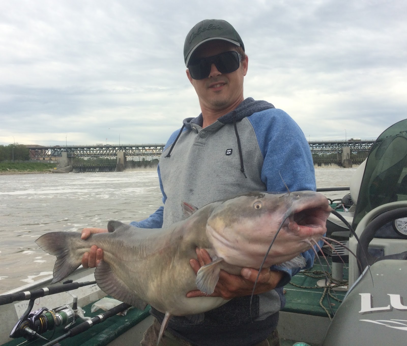 1000 Inches of Channel Catfish