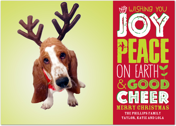 basset hound Christmas Card